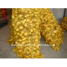 chinese fresh ginger for sale